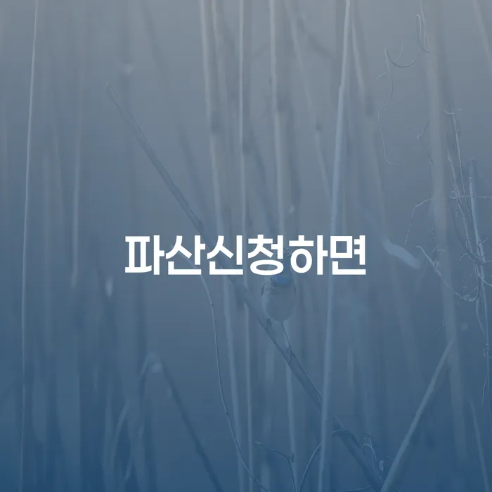 개인회생신청비용 카드빚 연체 최신정보