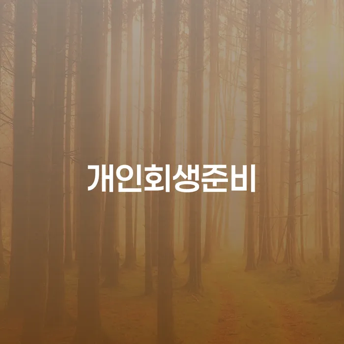 파산 개인회생 제도 문제를 해결