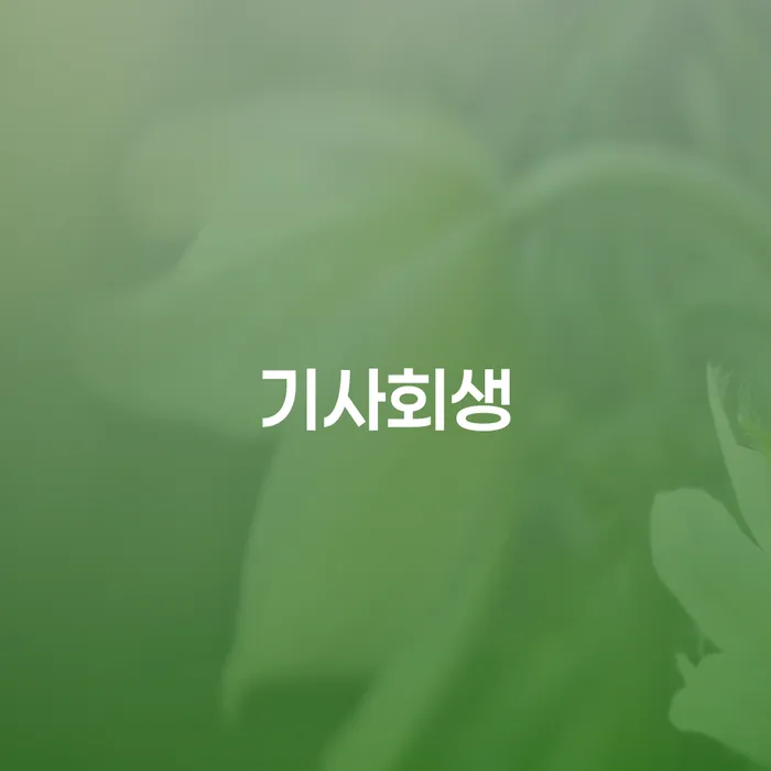 채무정리 대출 받은 돈채무조정 상담으로 확인하고