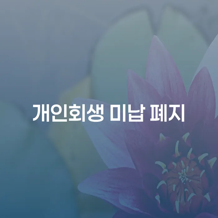 법무사개인회생 빚 해결할 조건확인 하고