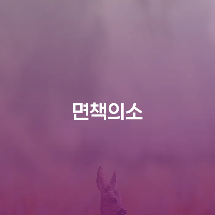 파산신청 추심 대응법 확실한 진행
