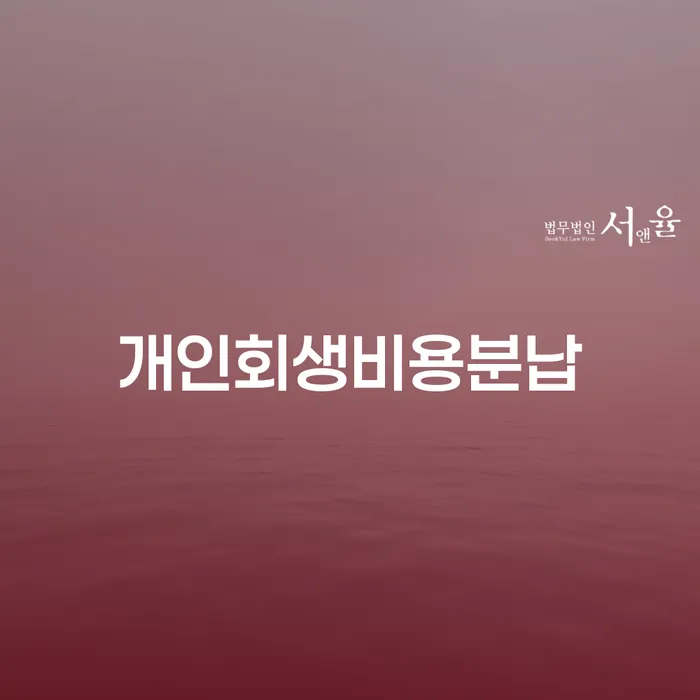 개인파산이란 채무조정제도을 이용하여 노하우