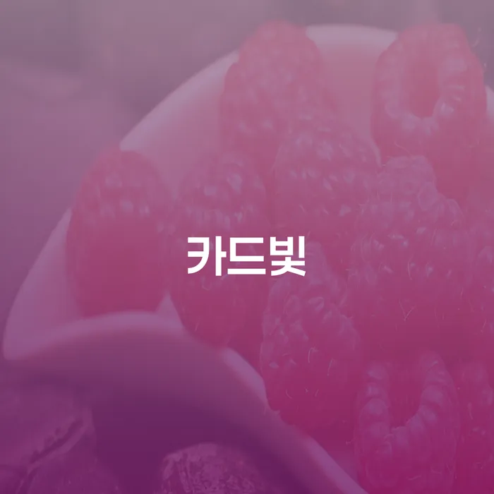보증채무금 연체 채무 신속해결방법 추천하는 법률사무소