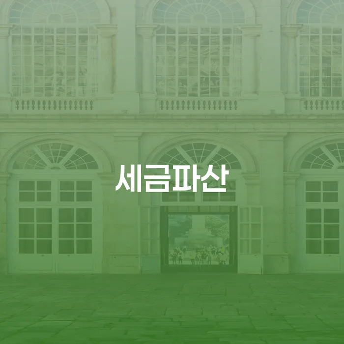 법인채무 개인파산 확실한 진행