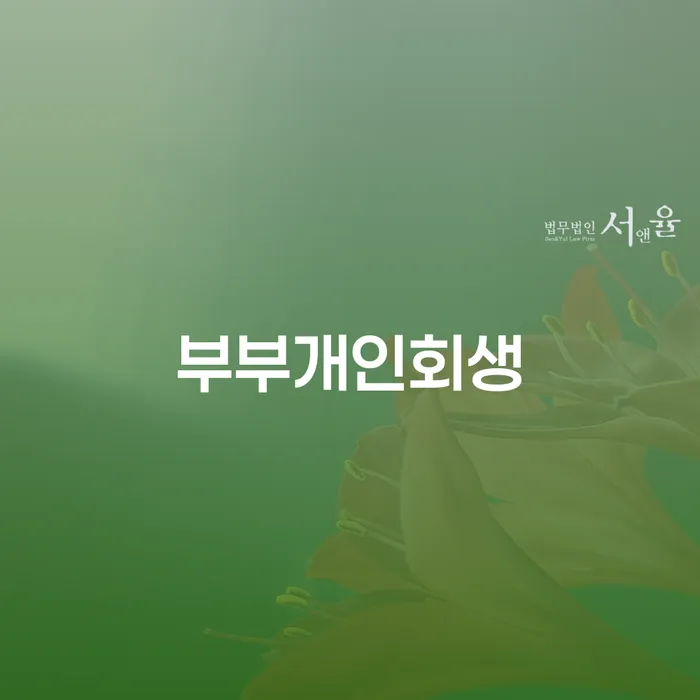 개인회생 개인회생으로 해결 관한건