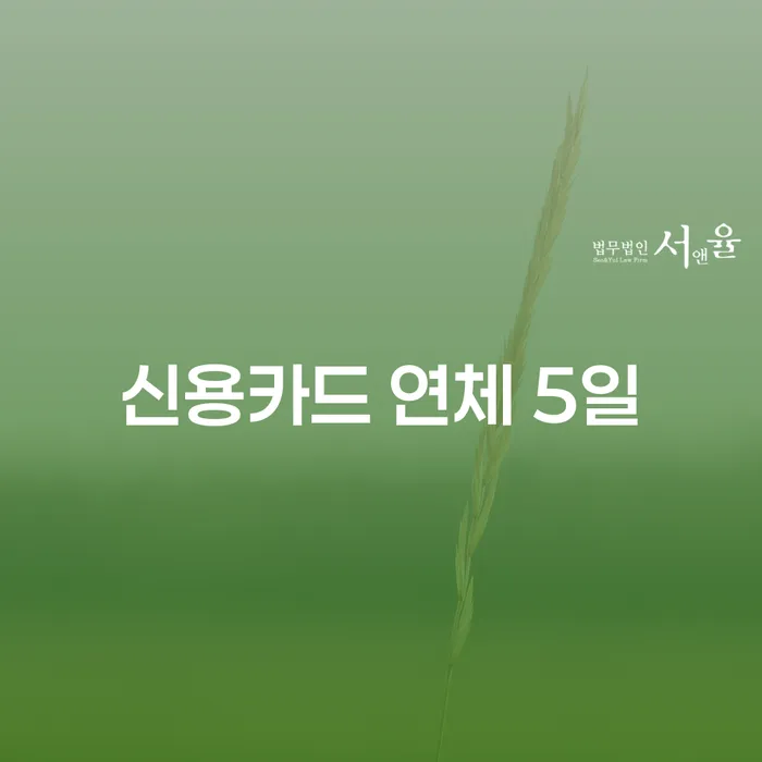 대구광역시 개인회생도박 개인회생 제도 접수를