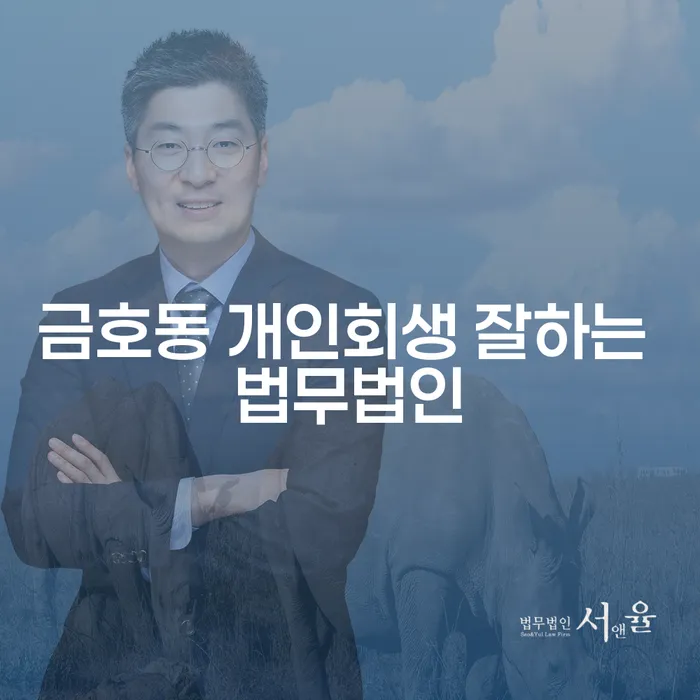 금호동 개인회생 잘하는 법무법인