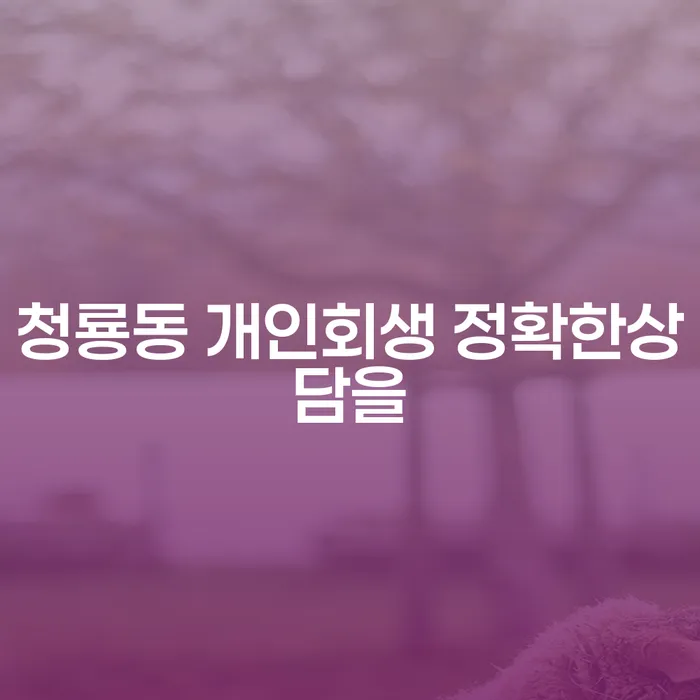 청룡동 개인회생 정확한상담을