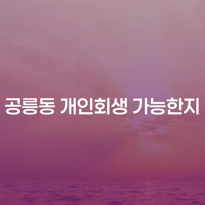 공릉동 개인회생 가능한지