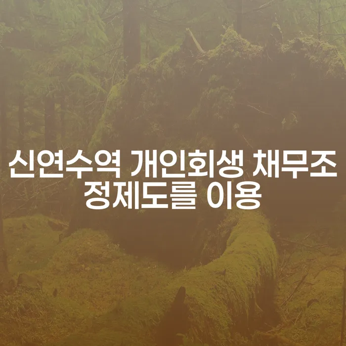 신연수역 개인회생 채무조정제도를 이용