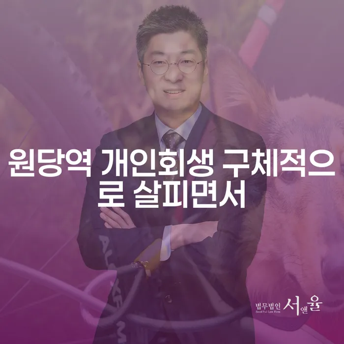 원당역 개인회생 구체적으로 살피면서