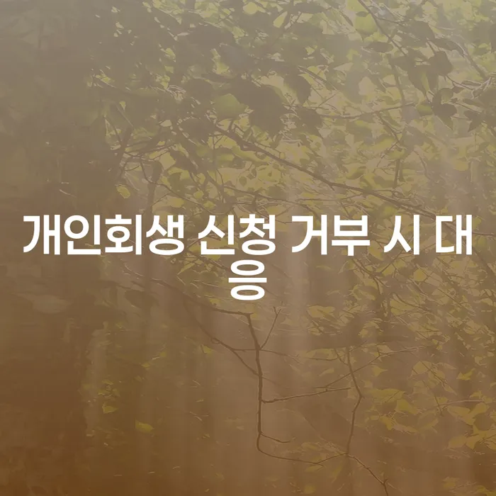 개인회생 신청이 거부되었을 때 어떻게 대응해야 할까요?