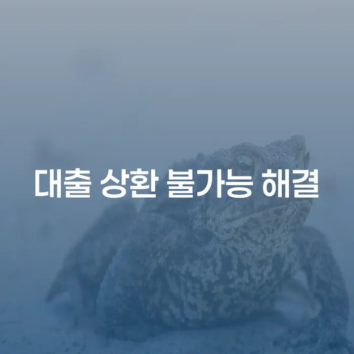 대출 상환 불가능, 어떻게 해결할 수 있을까요?