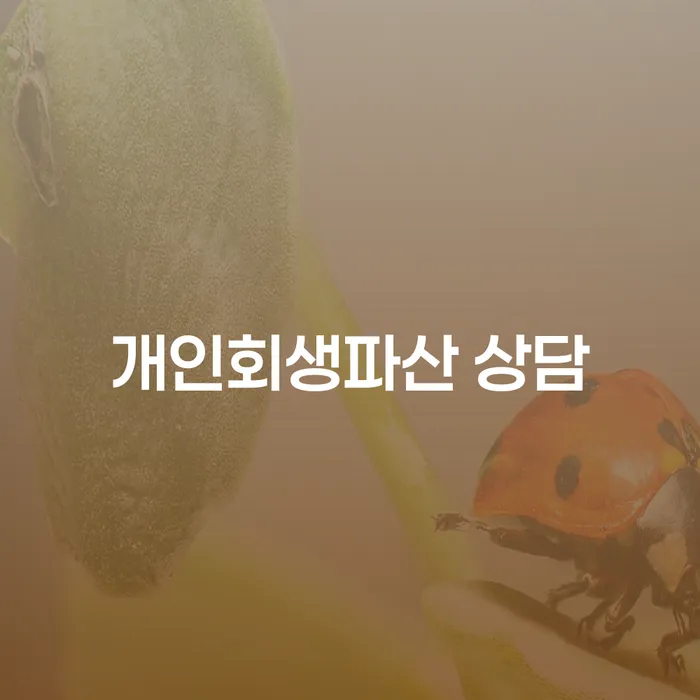 안성시 개인회생과 파산 상담의 모든 것