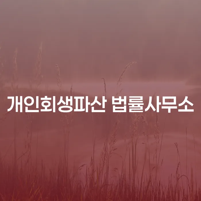 완도군 개인회생파산, 어떻게 준비해야 하나요?