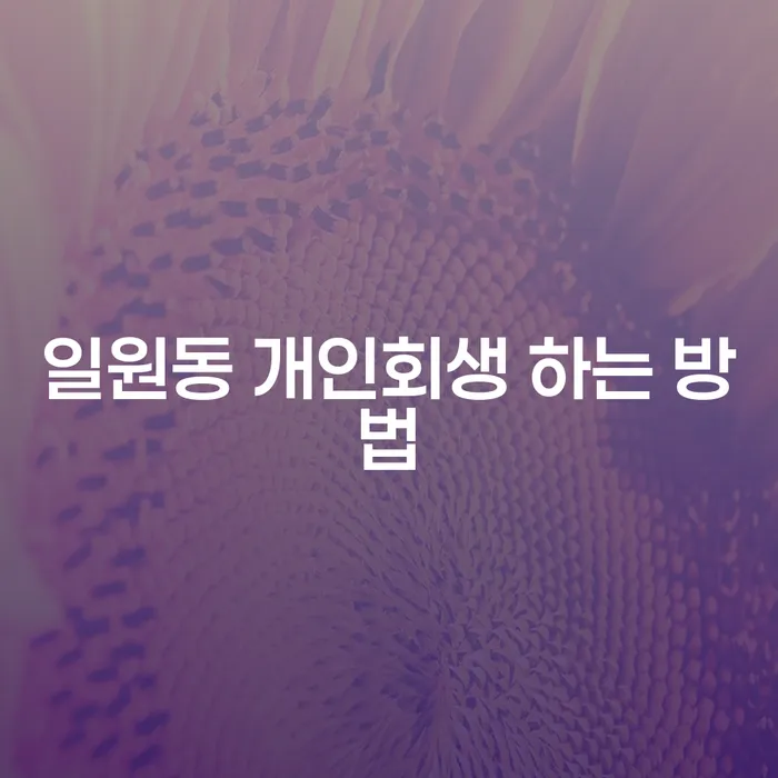 일원동 개인회생 신청, 어떻게 시작해야 할까요?