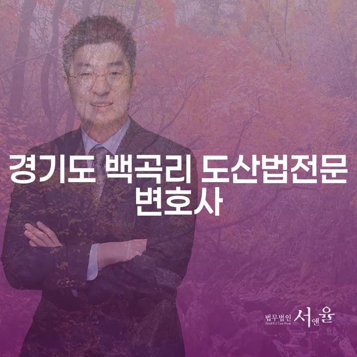 경기도 백곡리 도산법전문변호사에게 상담 받아야 하는 이유는 무엇일까요?