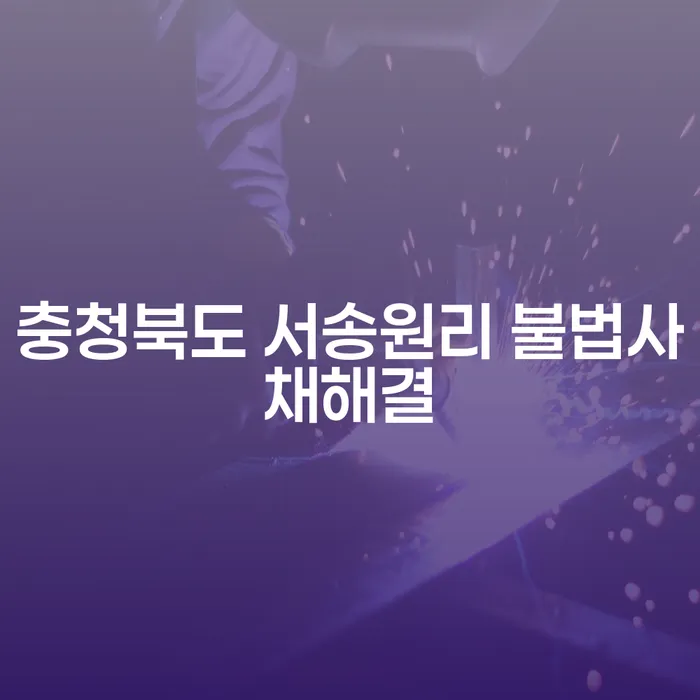 충청북도 서송원리에서 불법사채 문제를 어떻게 해결할 수 있을까요?